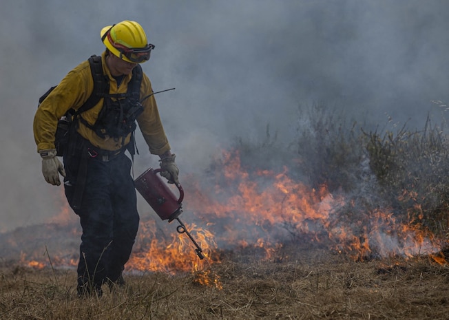 A firefighter with Camp Pendleton Fire Department feeds a prescribed burn in the Juliet Training Area on Marine Corps Base Camp Pendleton, California, May 23, 2020. Firefighters with CPFD are using a series of prescribed burns to clear approximately 50 acres of dense vegetation over the Memorial Day weekend. The fires will improve the habitat for the kangaroo rat, one of 18 endangered species that lives on Camp Pendleton, and prevent wildfires during the summer fire season. (U.S. Marine Corps photo by Lance Cpl. Andrew Cortez)