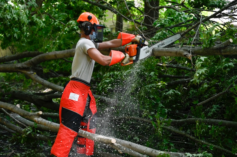 A man wearing a hard hat and work clothes uses a chainsaw to cut a tree.
