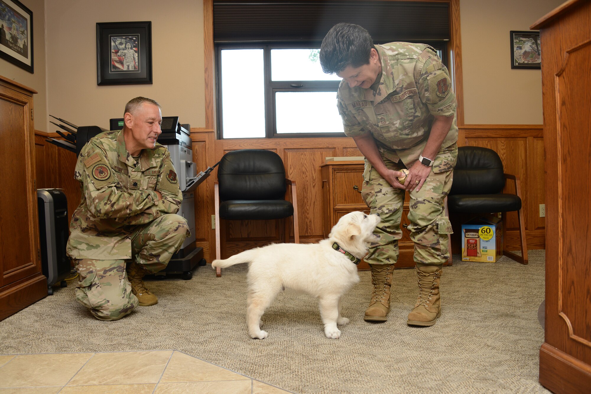 Lincoln, an English Cream Golden Retriever puppy is in training to become a full time therapy dog at the Iowa Air Guard’s 185th Air Refueling Wing in Sioux City, Iowa.