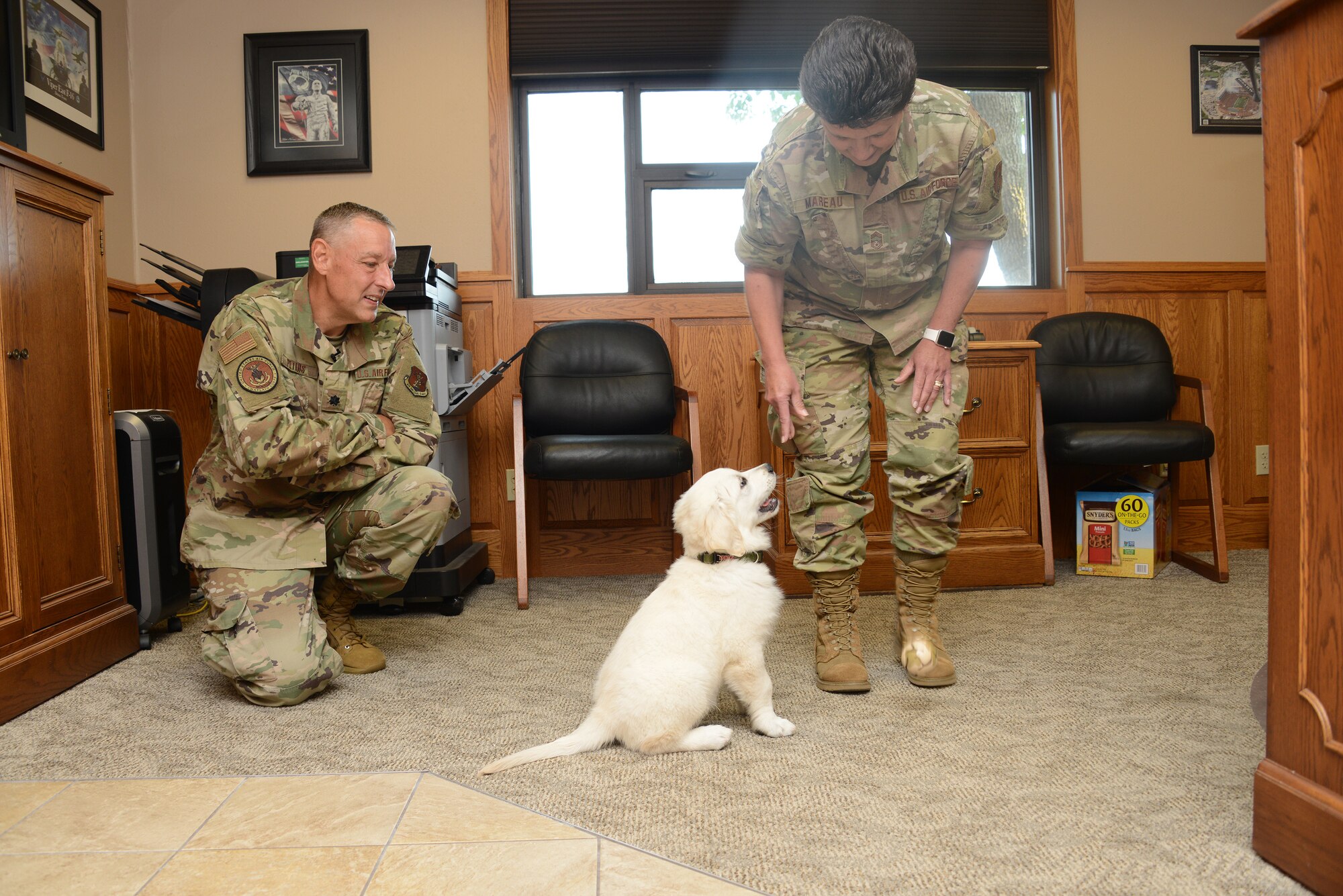 Lincoln the dog joins 185th care team > 185th Air Refueling Wing > Article  Display