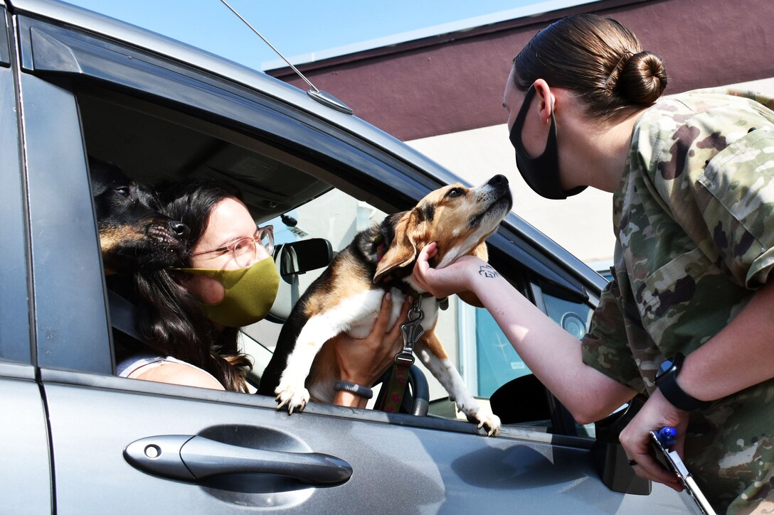 A Marine wearing a face mask greets a dog looking out a car window.