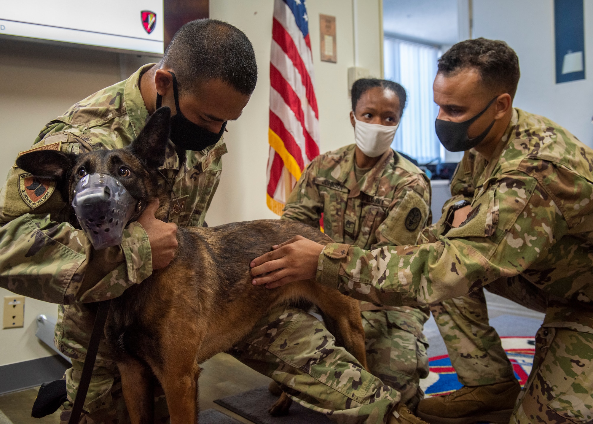 Airmen, Soldiers train on K-9 Aeromedical Evacuations capabilities