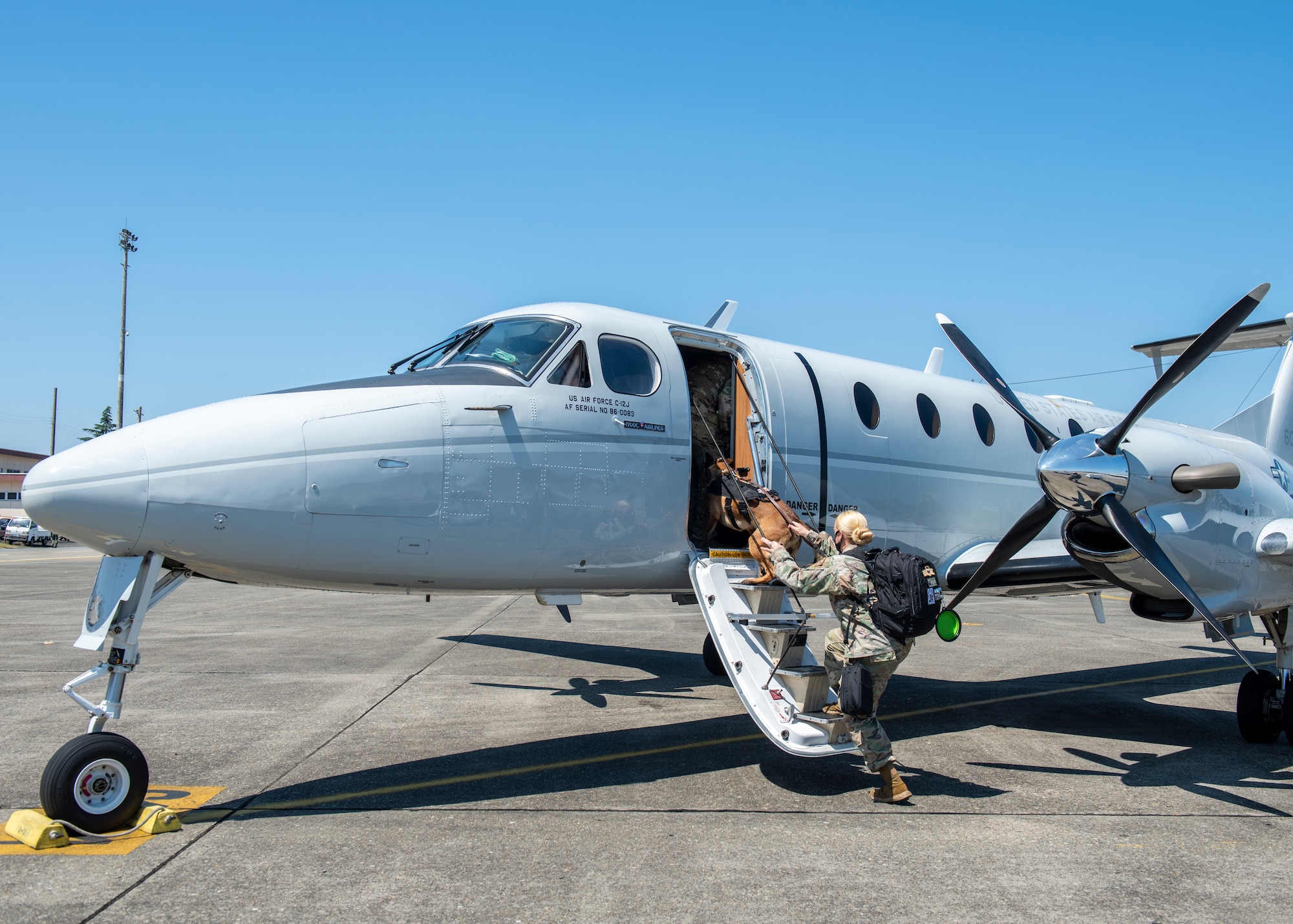 Airmen, Soldiers train on K-9 Aeromedical Evacuations capabilities