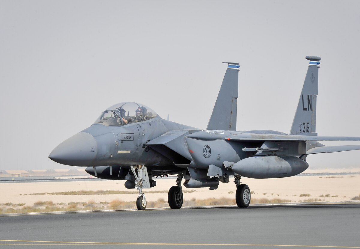 US AIR FORCE PILOT/エリートフォース　F15イーグル US AIR FORCE PILOT/エリートフォース F15イーグル （ELITE