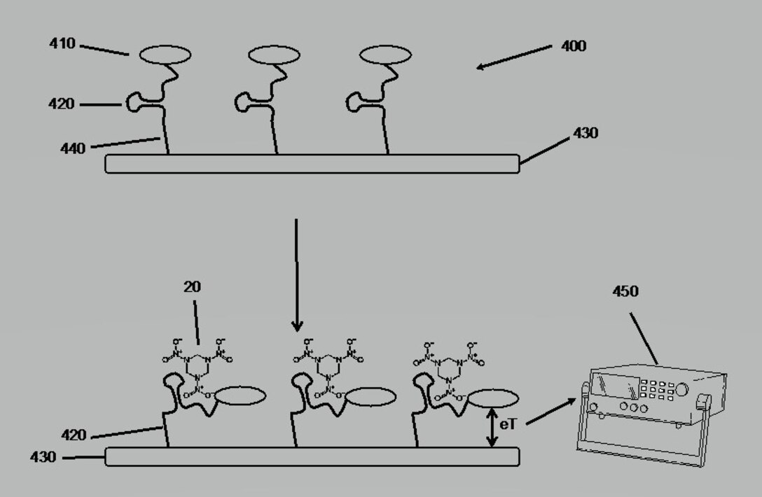 A team from the U.S. Army Engineer Research and Development Center’s Environmental Laboratory invented “DNA-Based Testing for Environmental Contamination,” a process that earned a patent in February 2020.