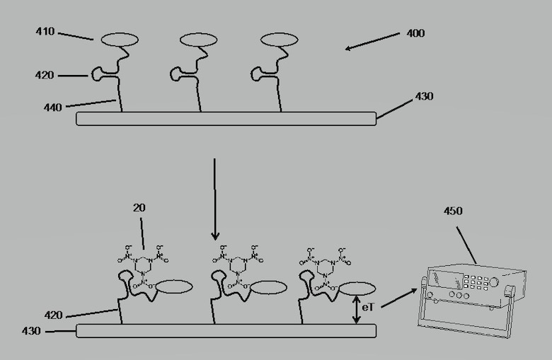 A team from the U.S. Army Engineer Research and Development Center’s Environmental Laboratory invented “DNA-Based Testing for Environmental Contamination,” a process that earned a patent in February 2020.