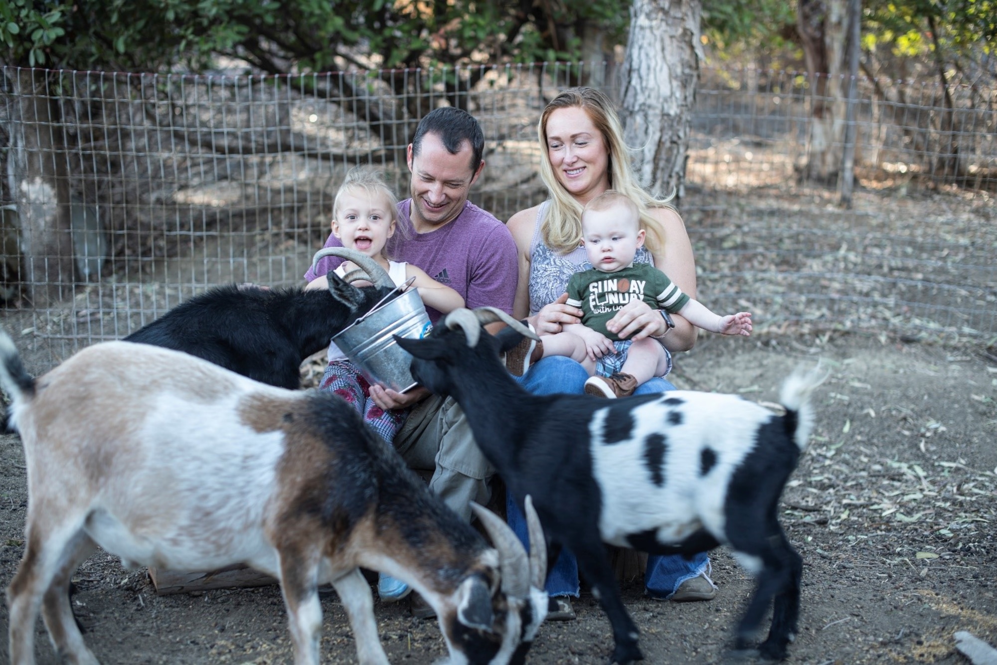 A family is sitting in their backyard while feeding their goats