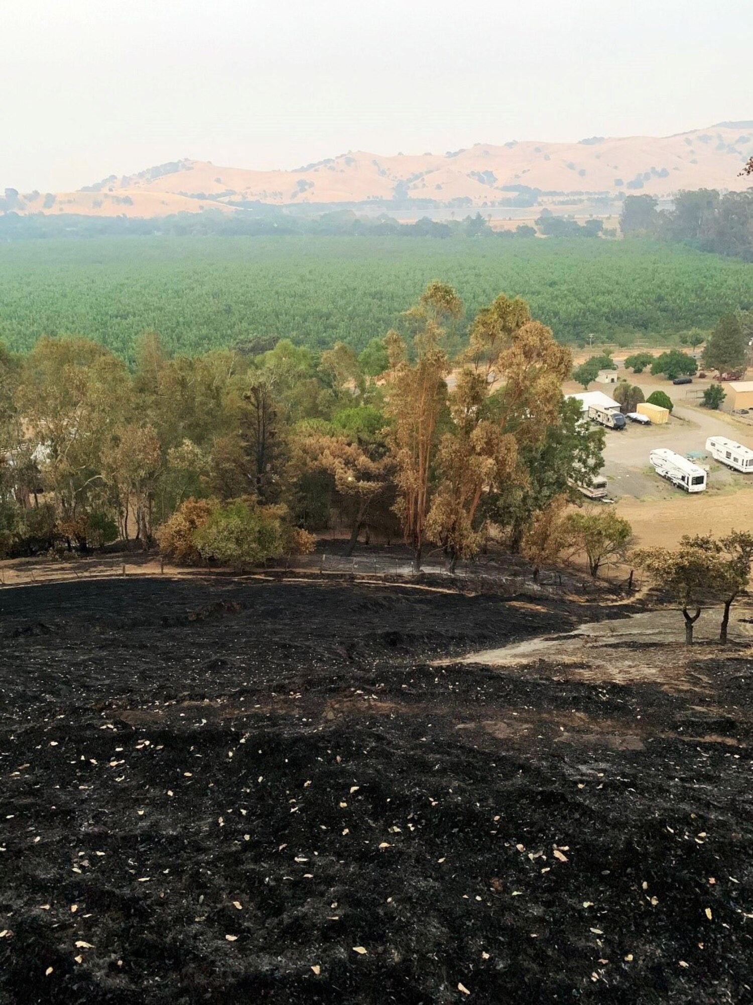 A hilly landscape is shown. The foreground is charred and scorched by fire.