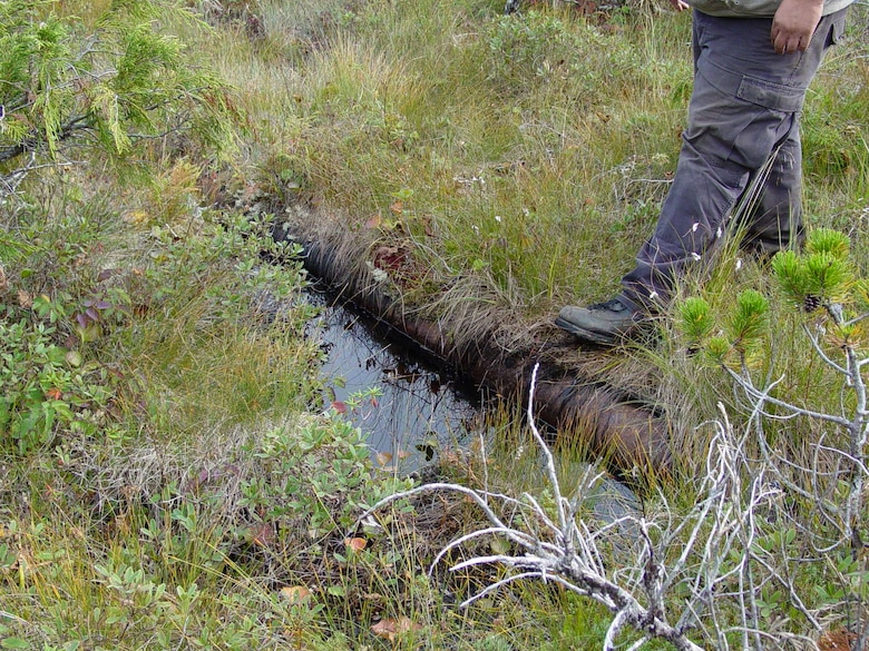 A worker steps onto part of the six-mile pipeline no longer in use on Annette Island. The Metlakatla Indian Community is removing 1,200 feet of the pipeline this year under the Native American Lands Environmental Mitigation Program with assistance from the U.S. Army Corps of Engineers – Alaska District.