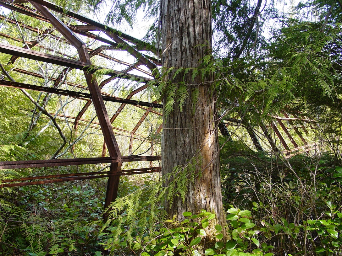 An abandoned Quonset hut sits in a grove of trees on Annette Island. Metal roofs and wood floors were stripped from similar facilities to repurpose, but the structures were abandoned.