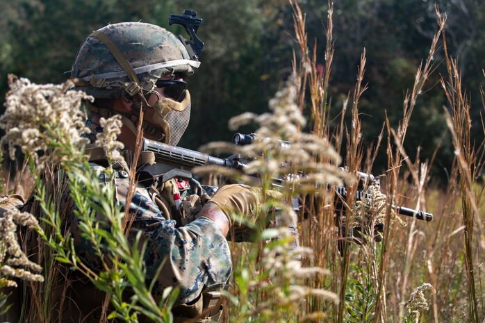 A U.S. Navy sailor provides security on De Soto National Forest, Mississippi, Nov. 11.