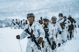 U.S. Marines hike through snow during a cold weather live-fire training event in preparation for Exercise Reindeer II in Setermoen, Norway, Nov. 20.