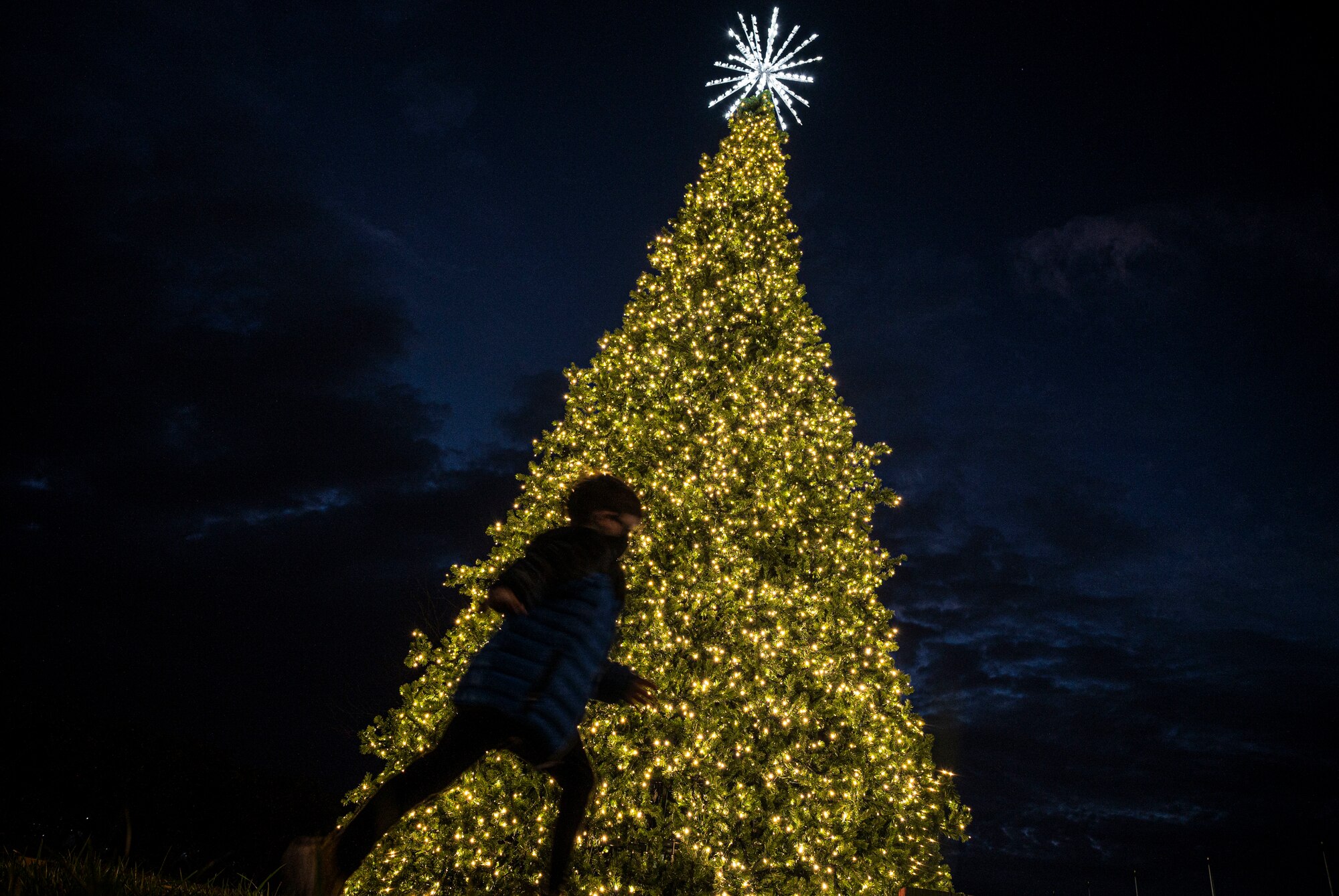 JBAB Goes Virtual for Annual Tree Lighting