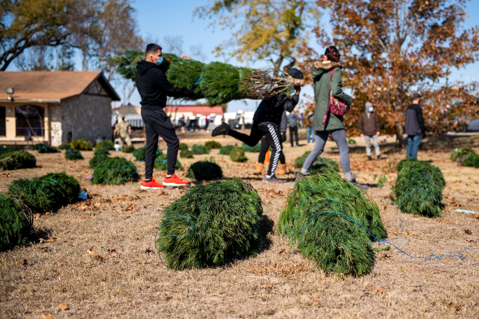 U.S. military members select a Christmas tree during the Trees for Troops event Dec. 3, 2020, at Joint Base San Antonio-Lackland, Texas. Trees for Troops, a program of the Christmas SPIRIT Foundation, provides free, farm-grown Christmas trees to members of all branches of the military and their families.