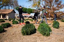 U.S. military members select a Christmas tree during the Trees for Troops event Dec. 3, 2020, at Joint Base San Antonio-Lackland, Texas. Trees for Troops, a program of the Christmas SPIRIT Foundation, provides free, farm-grown Christmas trees to members of all branches of the military and their families.