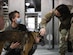 U.S. Marine Corps Cpl. Catherine Vodel (left), Marine Helicopter Squadron One military working dog handler, and U.S. Army Capt. Carli Williams (right), course instructor and veterinarian at Ft. Belvoir, Va., pet Ory, military working dog, during an annual Canine Tactical Combat Casualty Care Course at Malcolm Grow Medical Clinics and Surgery Center at Joint Base Andrews, Md., Nov. 12, 2020.