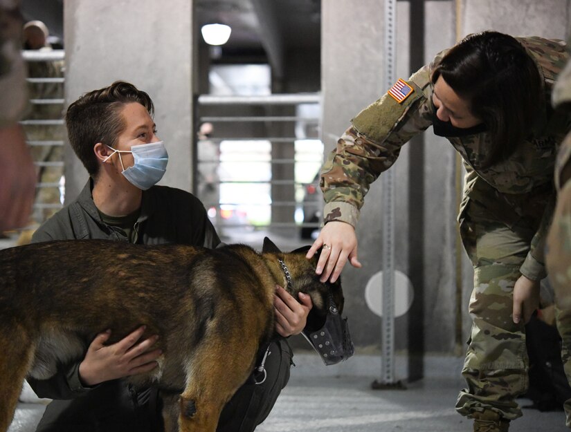 U.S. Marine Corps Cpl. Catherine Vodel (left), Marine Helicopter Squadron One military working dog handler, and U.S. Army Capt. Carli Williams (right), course instructor and veterinarian at Ft. Belvoir, Va., pet Ory, military working dog, during an annual Canine Tactical Combat Casualty Care Course at Malcolm Grow Medical Clinics and Surgery Center at Joint Base Andrews, Md., Nov. 12, 2020.