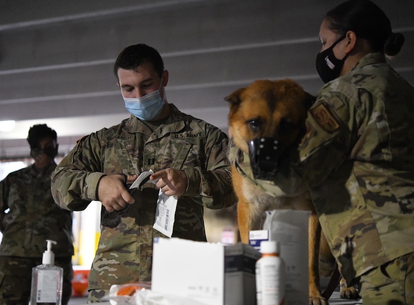 U.S. Army Capt. William Ciancarelli, course instructor and Joint Base Andrews Veterinary Clinic officer in charge, prepares a bandage for Rony, military working dog, to show 316th Medical Group members how to aid wounded MWDs in deployed conditions during a Canine Tactical Combat Casualty Care Course at Malcolm Grow Medical Clinics and Surgery Center at Joint Base Andrews, Md., Nov. 12, 2020.