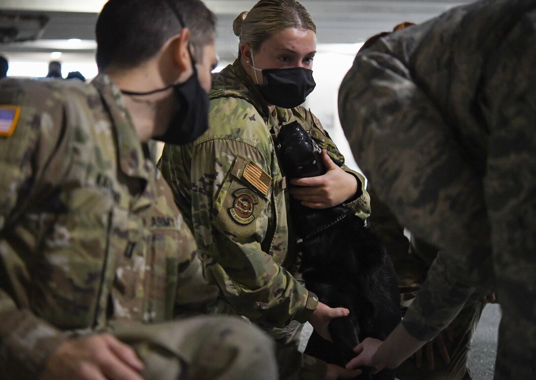 U.S. Air Force Senior Airman Miranda Stillion, 316th Security Support Squadron military working dog handler, holds Ace, MWD, while 316th Medical Group members observe where to insert a catheter during a Canine Tactical Combat Casualty Care Course, a training course for teaching medical professionals how to aid wounded MWDs in deployed conditions, at Malcolm Grow Medical Clinics and Surgery Center at Joint Base Andrews, Md., Nov. 12, 2020.
