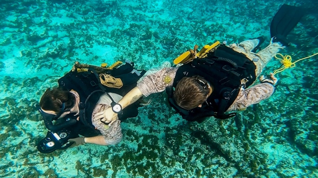 U.S. Marine Corps Staff Sgt. Joseph Deblaay, left, and Sgt. Joseph Singletary, both reconnaissance Marines with C Company, 2d Reconnaissance Battalion (Recon Bn.), 2d Marine Division (MARDIV), participate in a dive training alongside Netherlands Marines with the 32nd Raiding Squadron near Netherlands Marine Barracks Savaneta, Aruba, Nov. 20, 2020. These dive skills are critical when fighting in littoral and coastal regions. 2d Recon Bn's mastery of these skills is paramount so they can integrate effectively with their naval counterparts to win the next major conflict. Being able to learn from the Dutch Marines in their primary area of operation helps 2d Recon Bn. build a faster, more mobile, and more lethal force when operating in diverse locations.(U.S. Marine Corps photo by Lance Cpl. Brian Bolin Jr.)