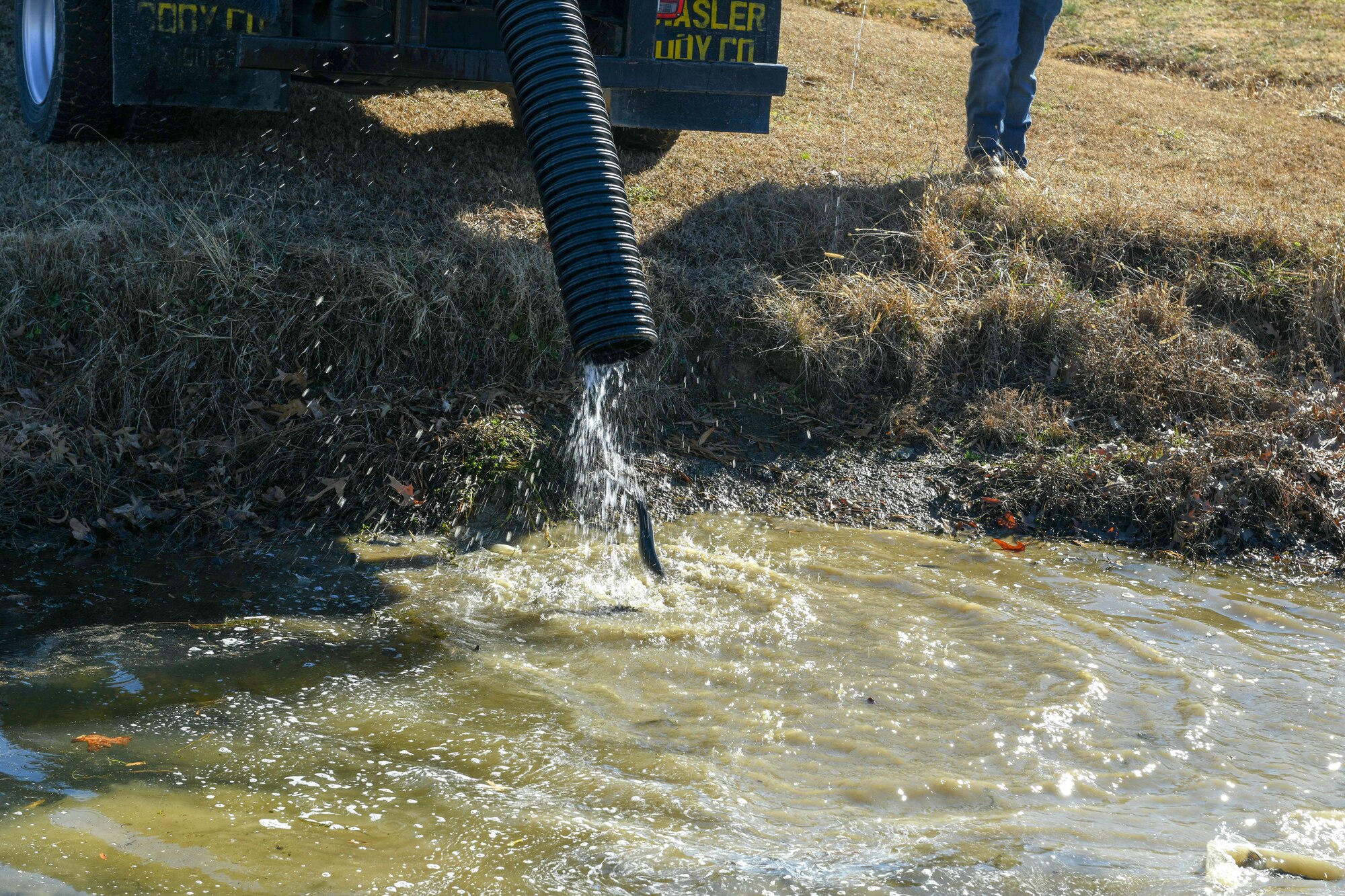 fish are released into a lake