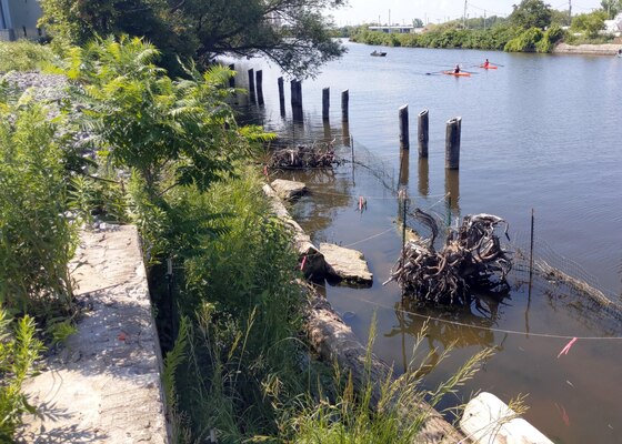 Photo of the hardened shoreline on the Buffalo River