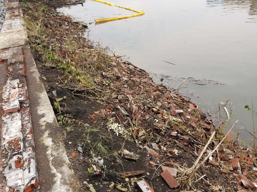 Photo of the hardened shoreline on the Buffalo River