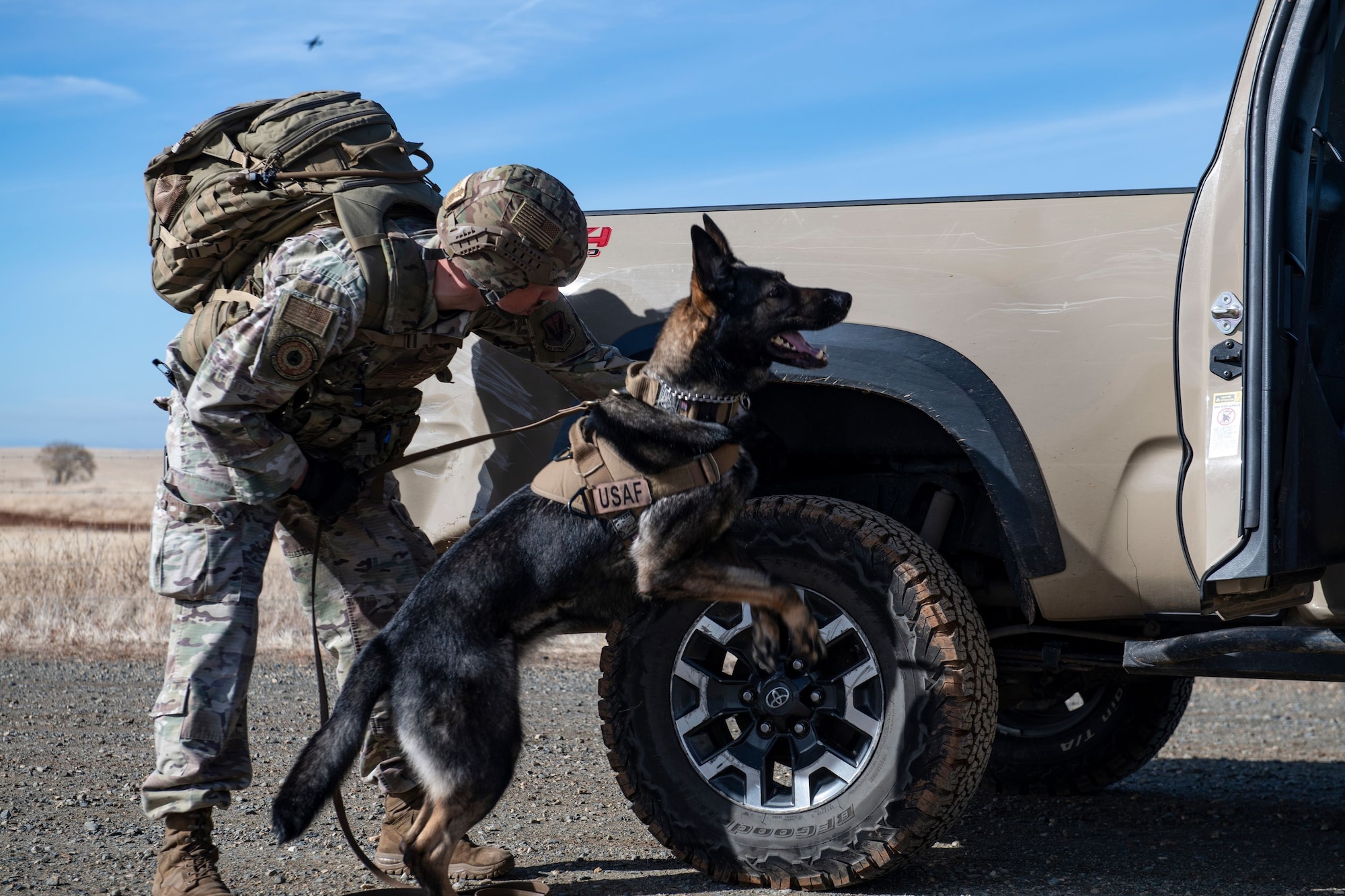 Staff Sgt. David Baumgartner, 9th Security Forces Squadron (SFS) K-9 handler, searches a vehicle for explosives with 9th SFS military working dog Elma during military working dog detection training on Beale Air Force Base.