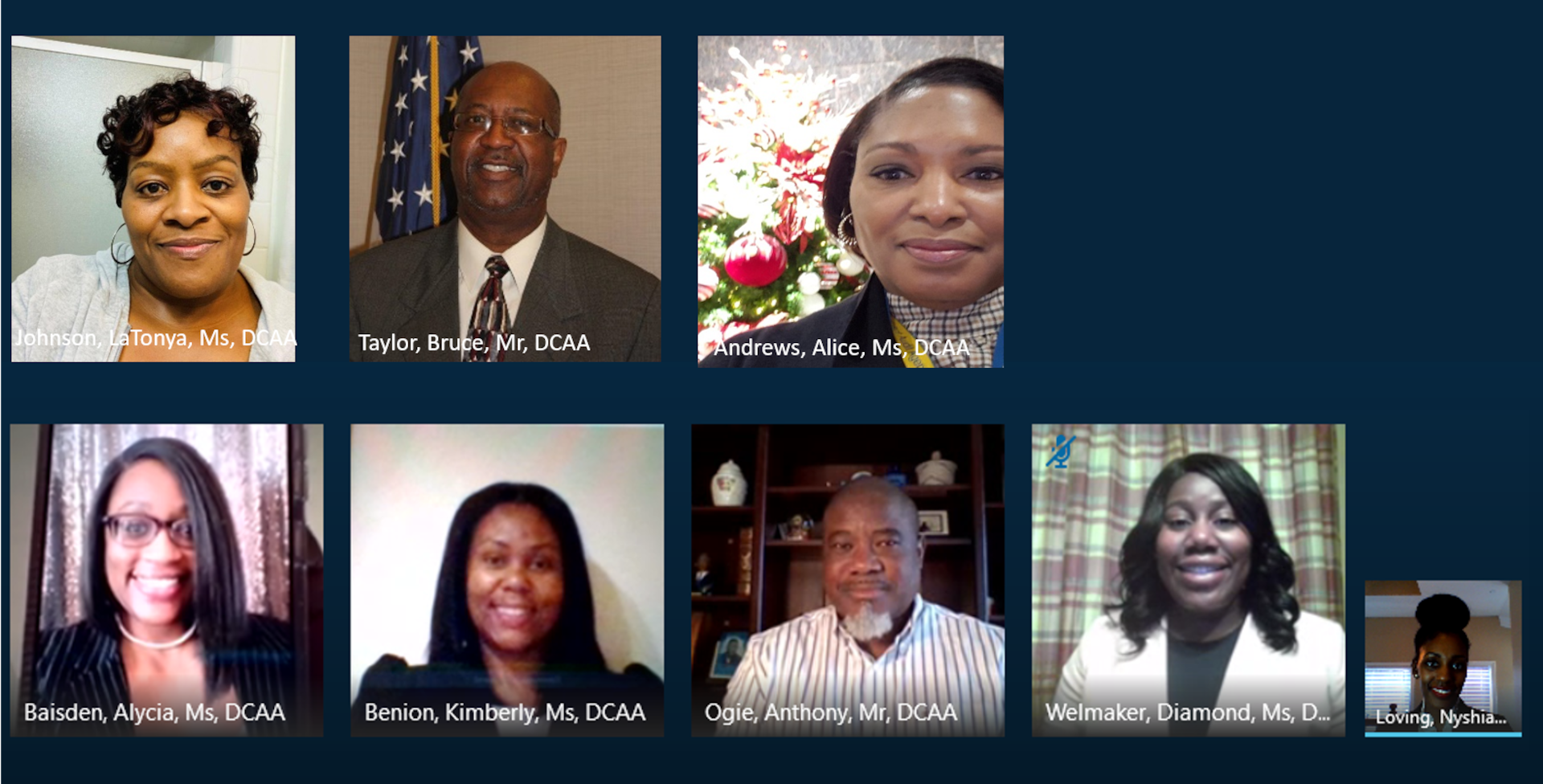 eight auditors on a webex meeting screen