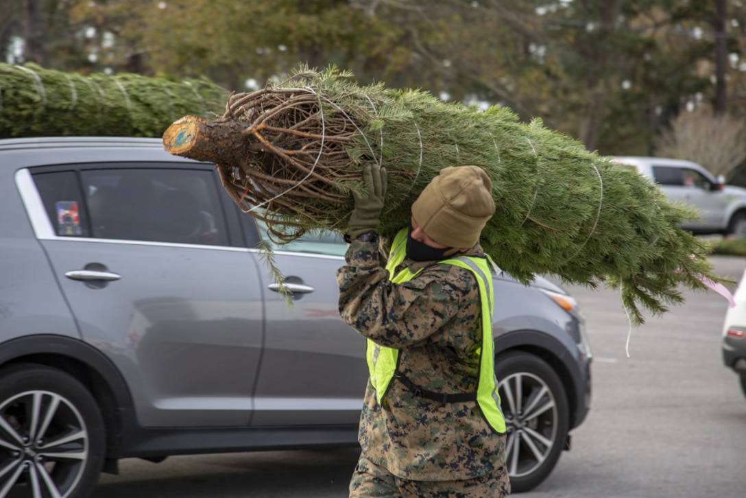 U.S. Marine Corps Pvt. Christian M. Urias, a student at Marine Corps Engineer School, carries a tree during the annual Trees for Troops event at the Paradise Point Golf Course on Marine Corps Base Camp Lejeune, North Carolina, Dec. 9, 2020. Trees for Troops is a program with the Christmas Spirit Foundation that provides free, farm-grown Christmas Trees to United States services members. (U.S. Marine Corps Photo by Lance Cpl. Isaiah Gomez)