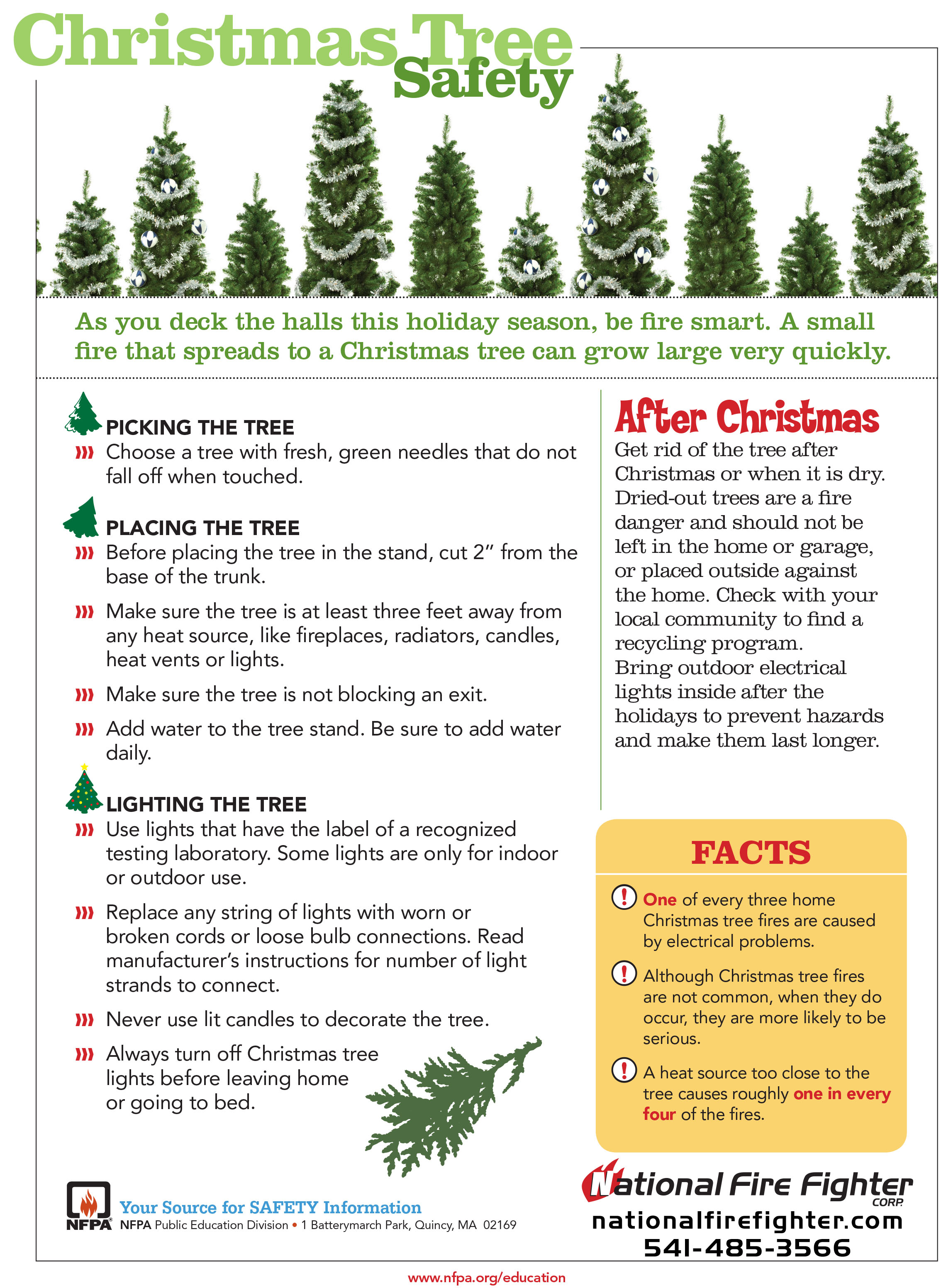 Five Steps for Winter Tree Safety