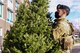 Senior Airman Anthony Arroyo, 66th Security Forces installation entry controller, selects a tree during a ‘Trees for Soldiers’ event at Hanscom Air Force Base, Mass., Dec. 10.