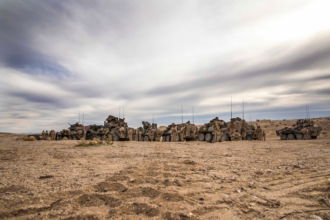 Marines stand around a row of military vehicles.