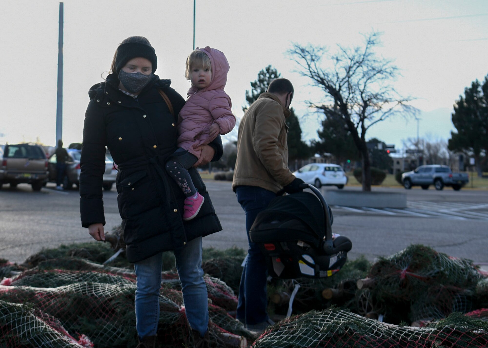 A family picks out a tree.