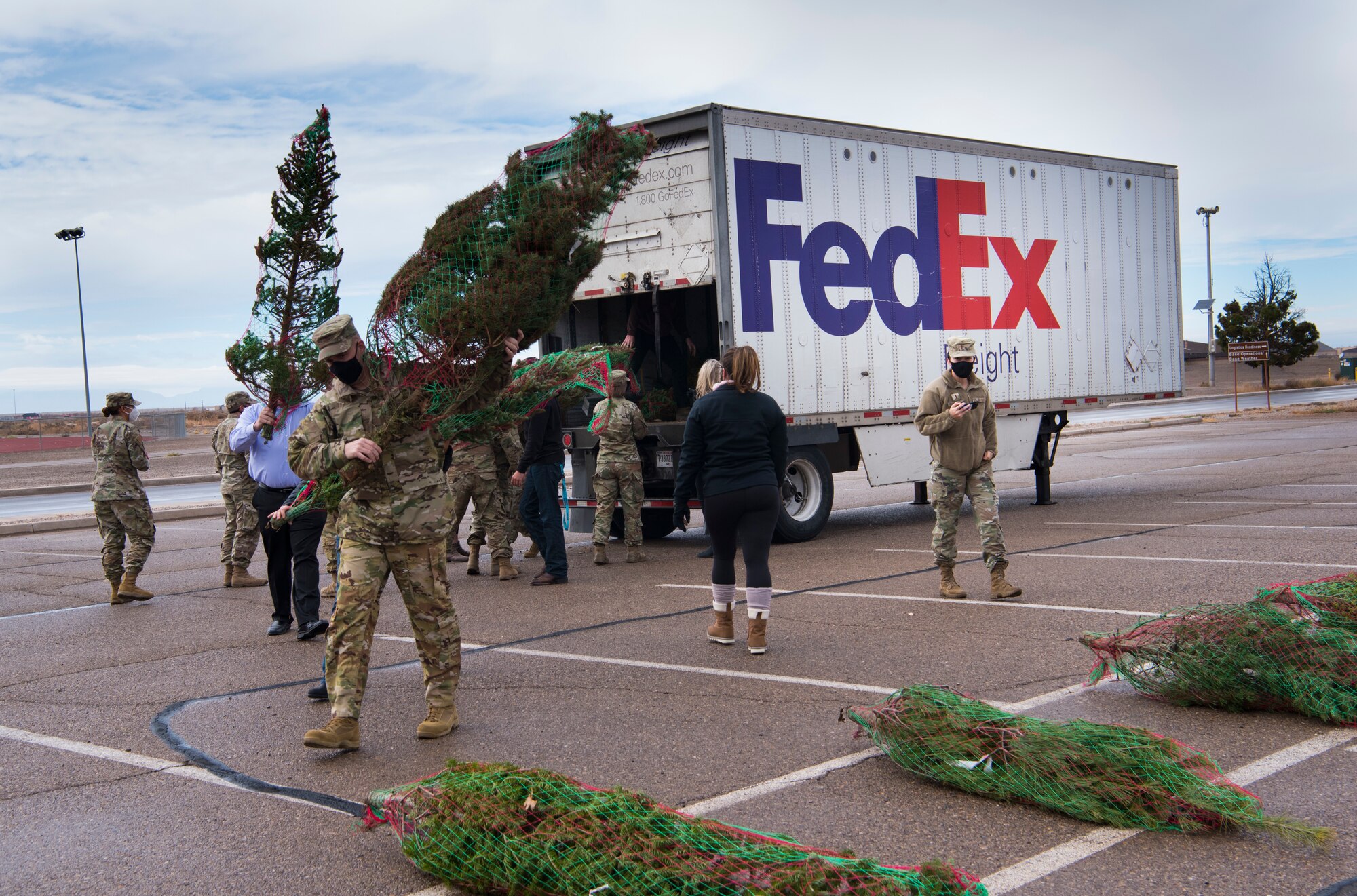 O Christmas Trees