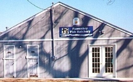 IMAGE: DAHLGREN, Va. (Nov. 30, 2020) – The Pamunkey Fish Hatchery was established in 1912 for the purpose of replenishing local shad populations. The hatchery is still operating today and provides job opportunities for tribal members.