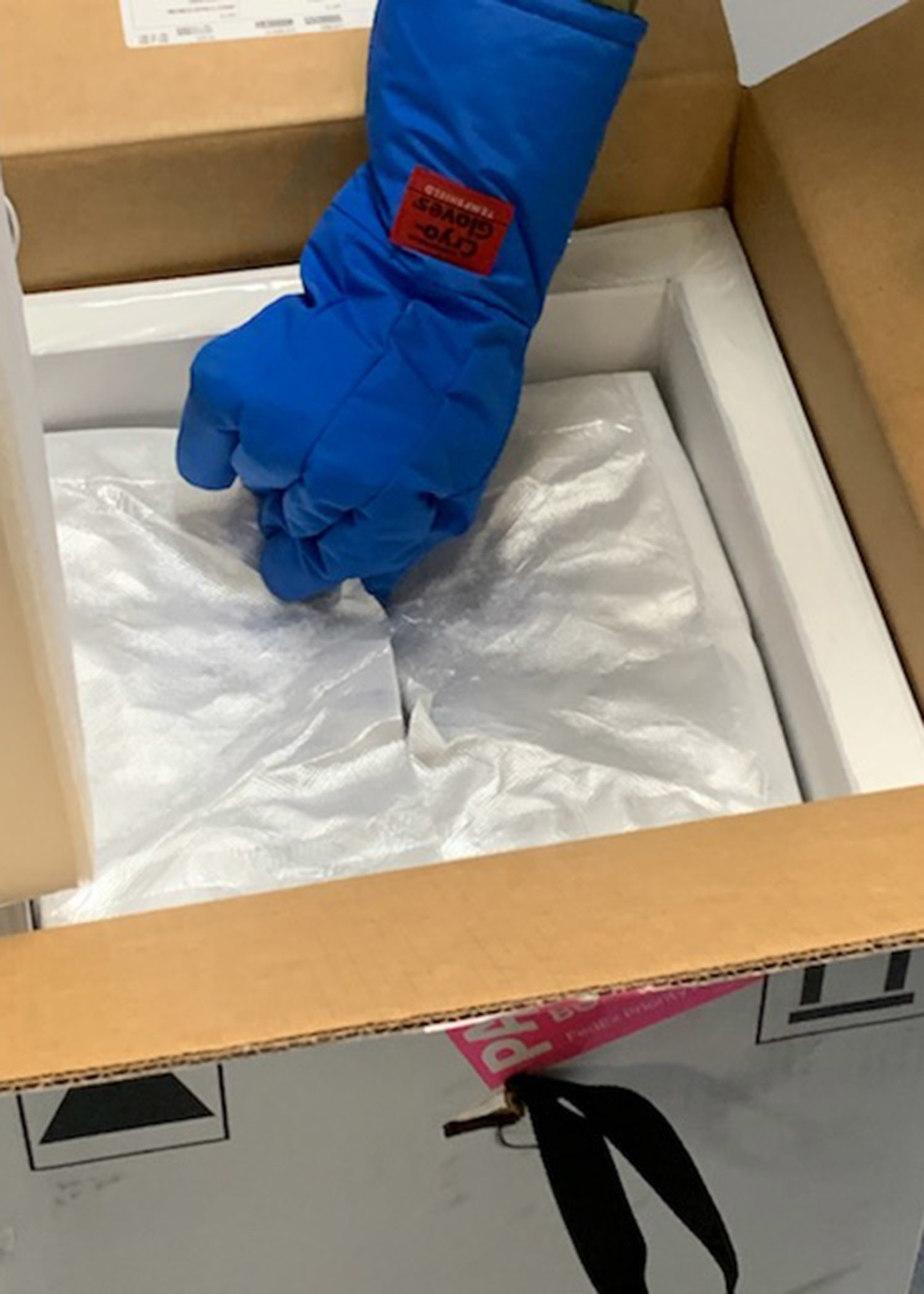 The first doses of Pfizer's COVID-19 vaccine arrives at Naval Medical Center San Diego (NMCSD), with distribution being conducted in phases, Dec. 14.