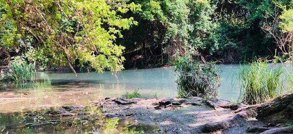 River Road Aquatic Ecosystem Restoration Feasibility Study