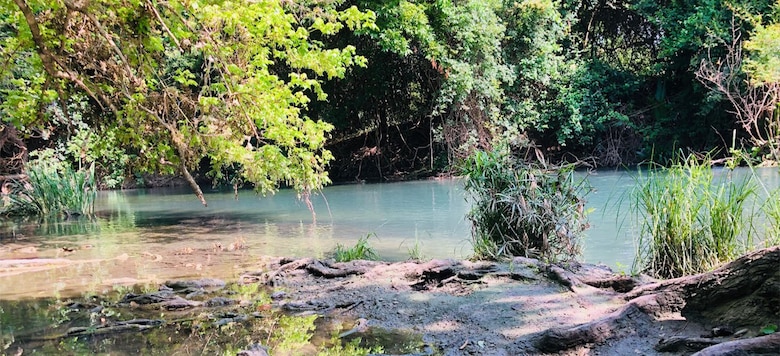 River Road Aquatic Ecosystem Restoration Feasibility Study