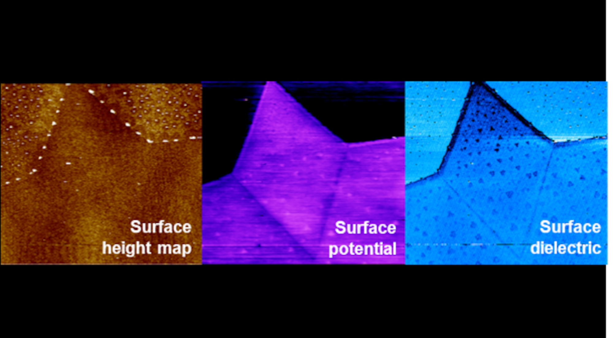 Atomic scale images (images are 40 micrometers x 40 micrometers) of surface height, surface potential and surface dielectric, in two-dimensional MoSe2 films, revealing many features invisible to traditional characterization methods. (U.S. Air Force photo/Spencer Deer)