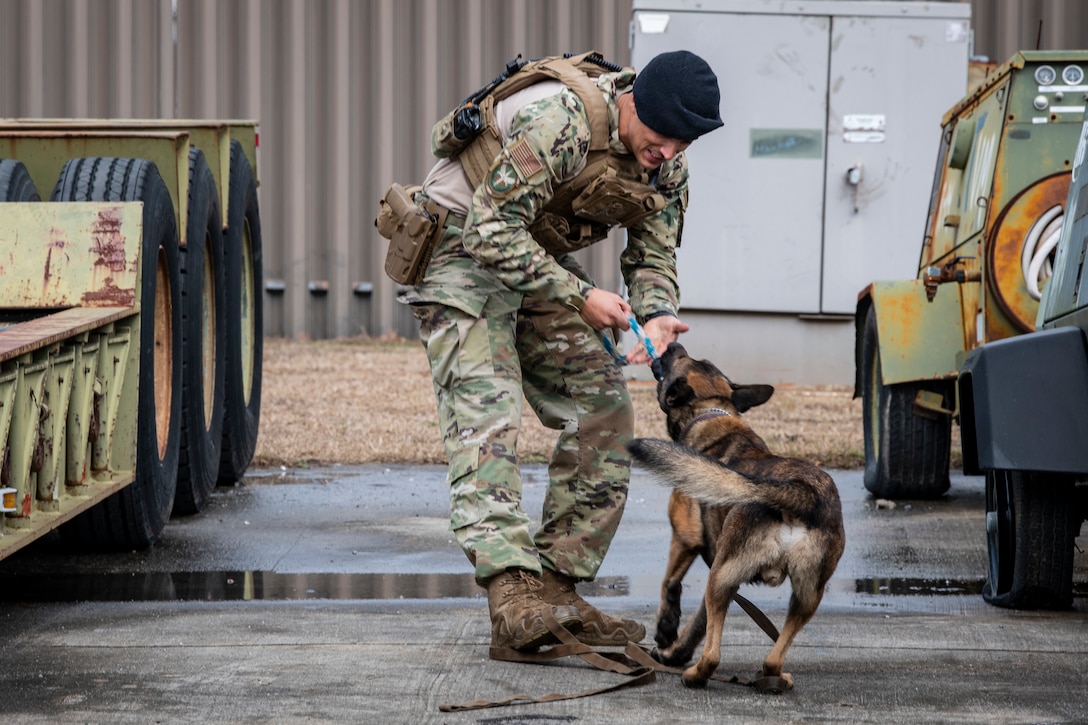 An airman and a dog play together.
