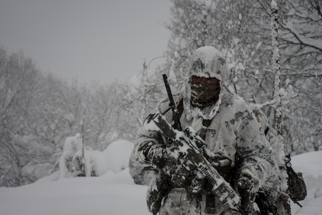 U.S. Marines conduct a combat patrol during exercise Forest Light in Japan, Dec. 16.