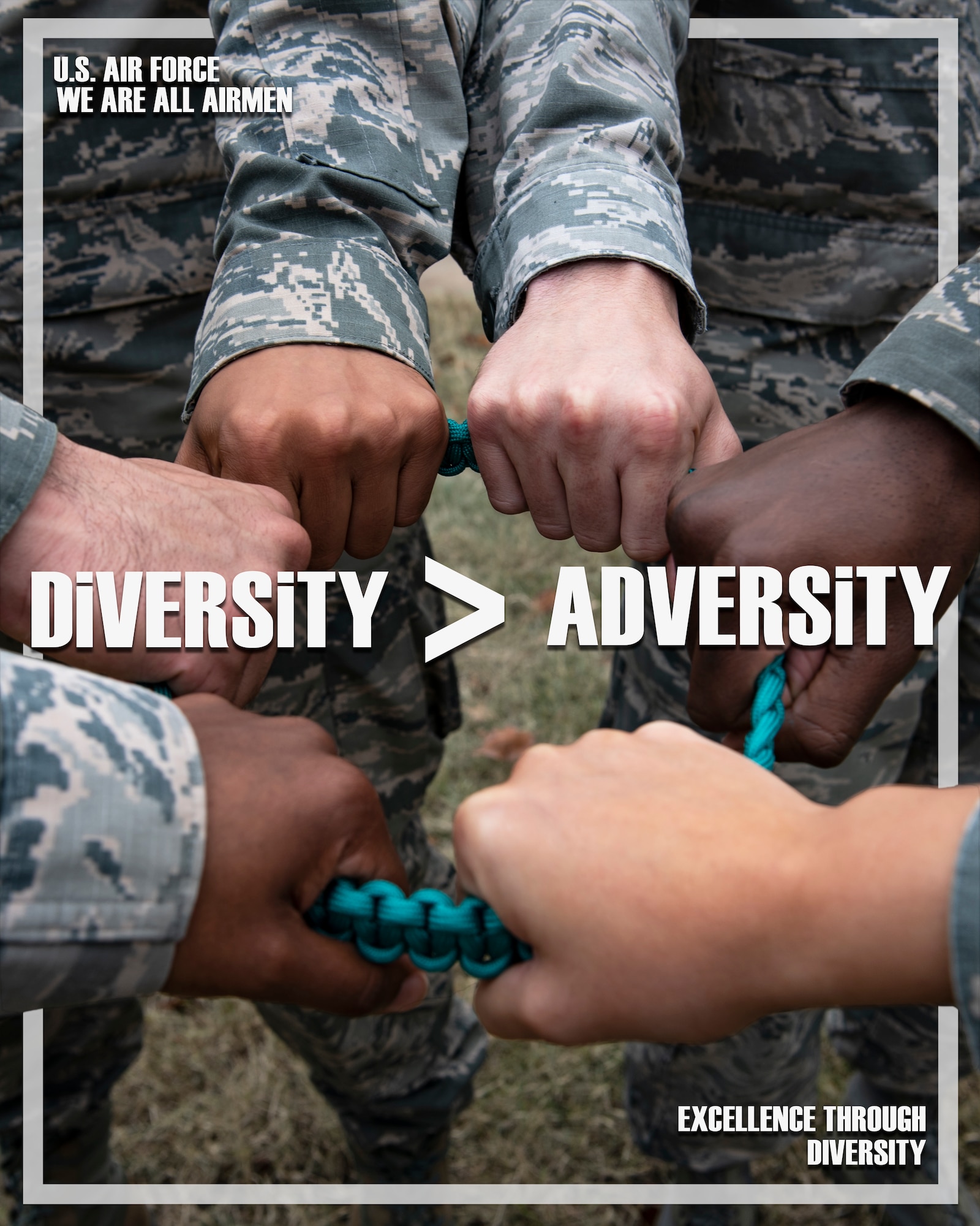 Diversity Greater Than Adversity