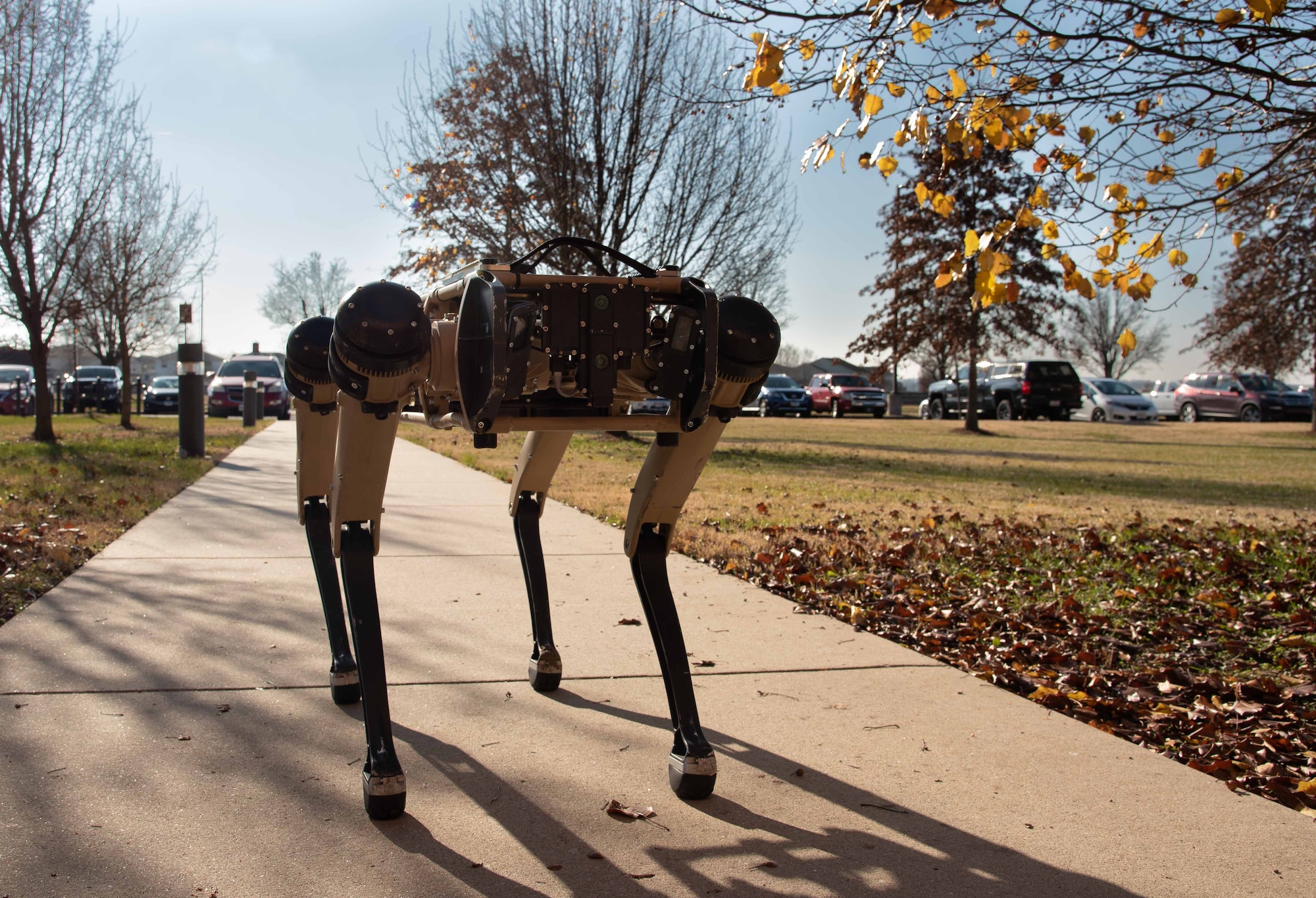 Robot dog stands