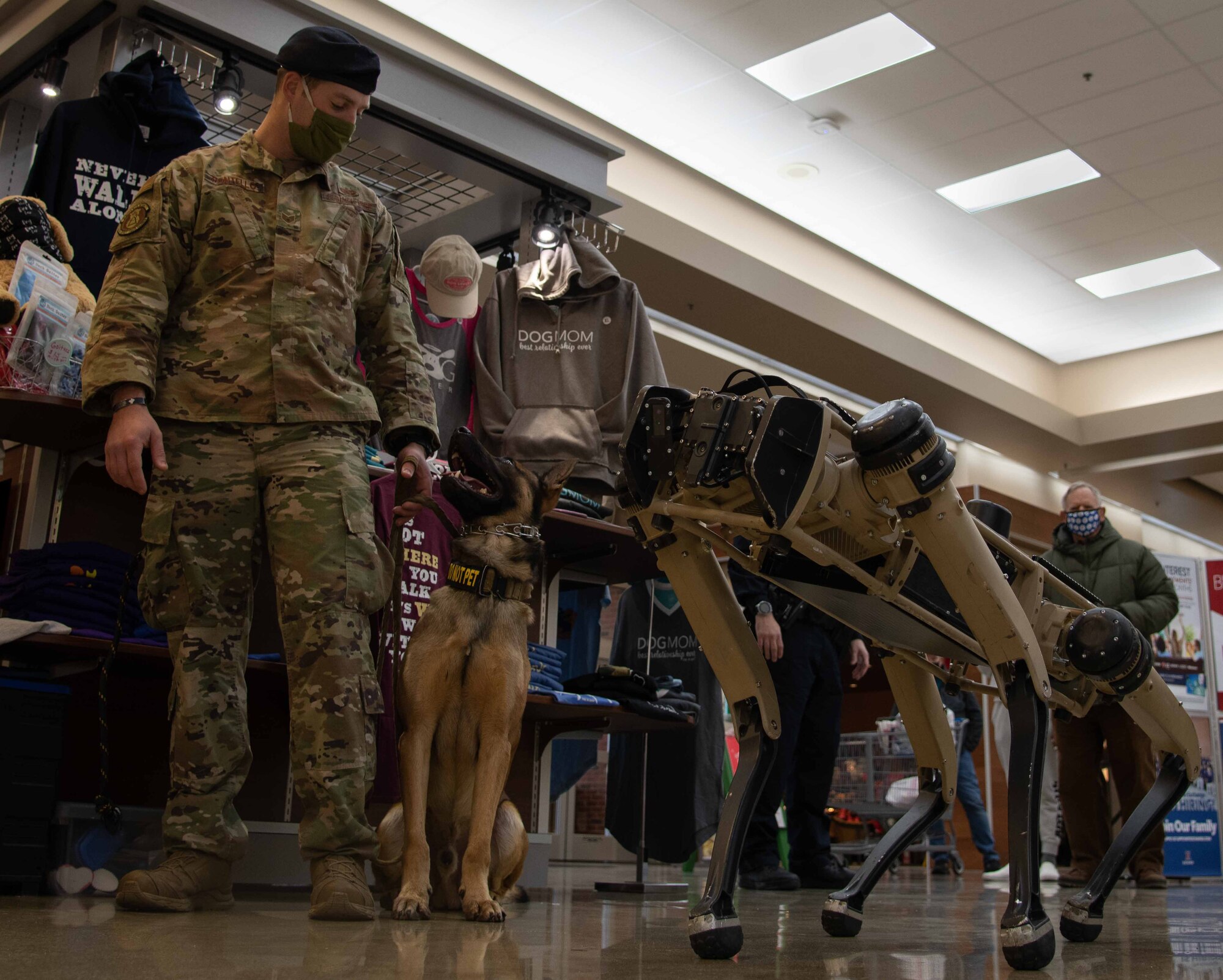 Airman looks at robot dog