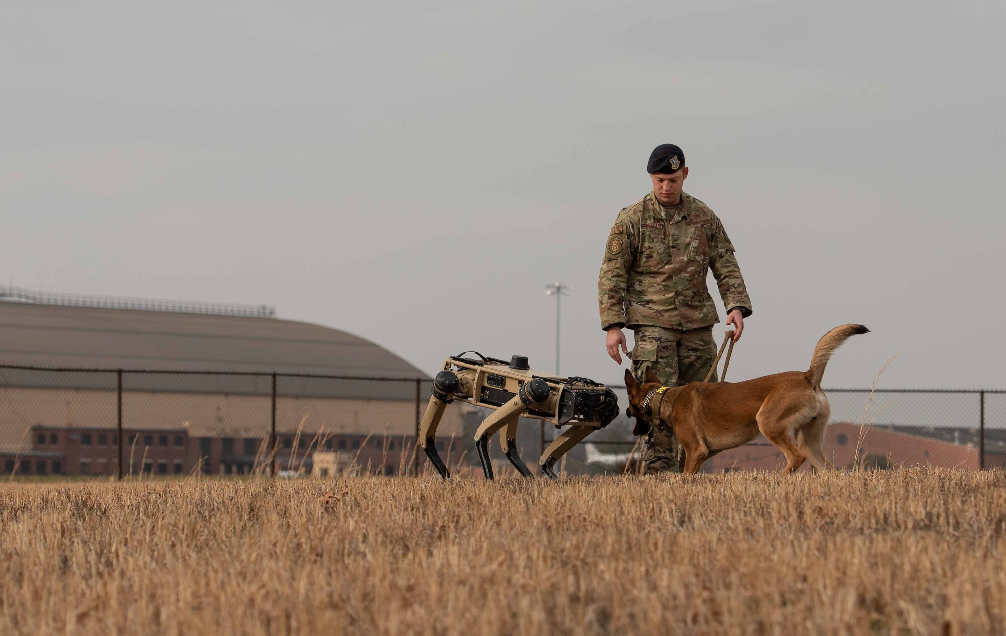 Robot dog and K-9 stand together