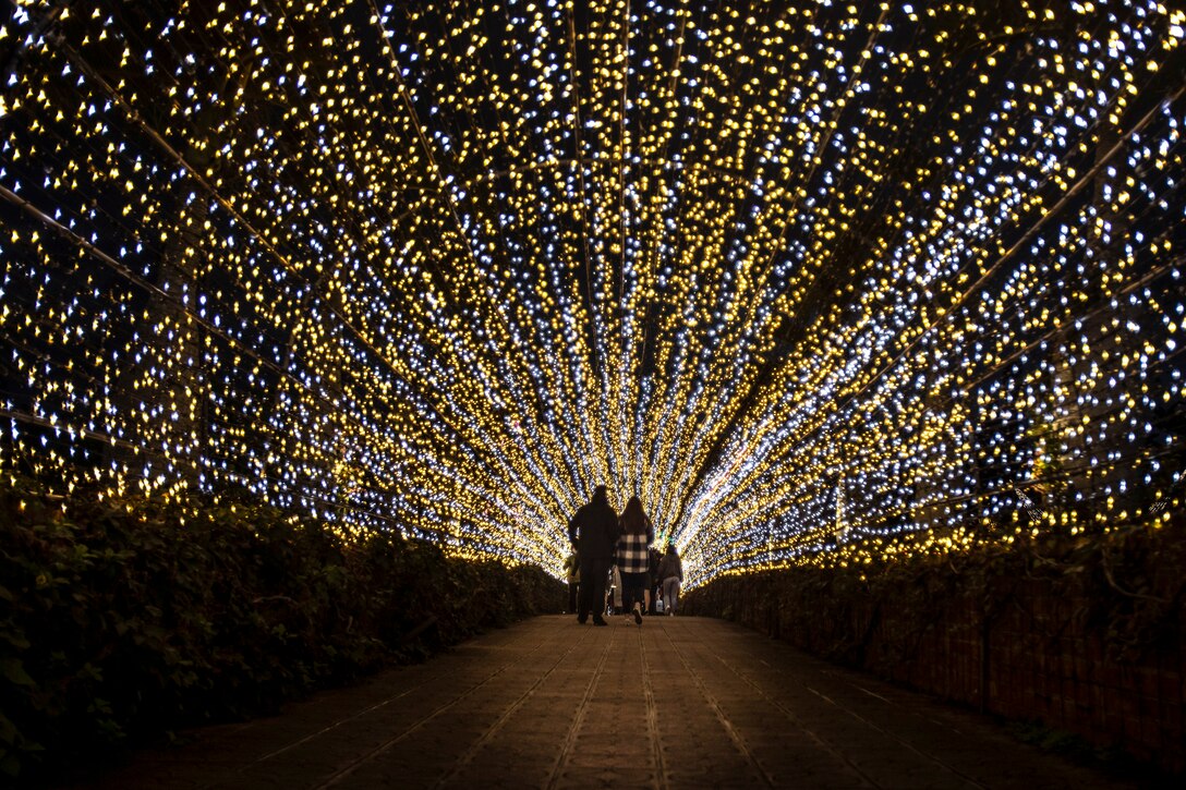 People walk on a pathway in a dark area lit up by hundreds of small lights overhead.