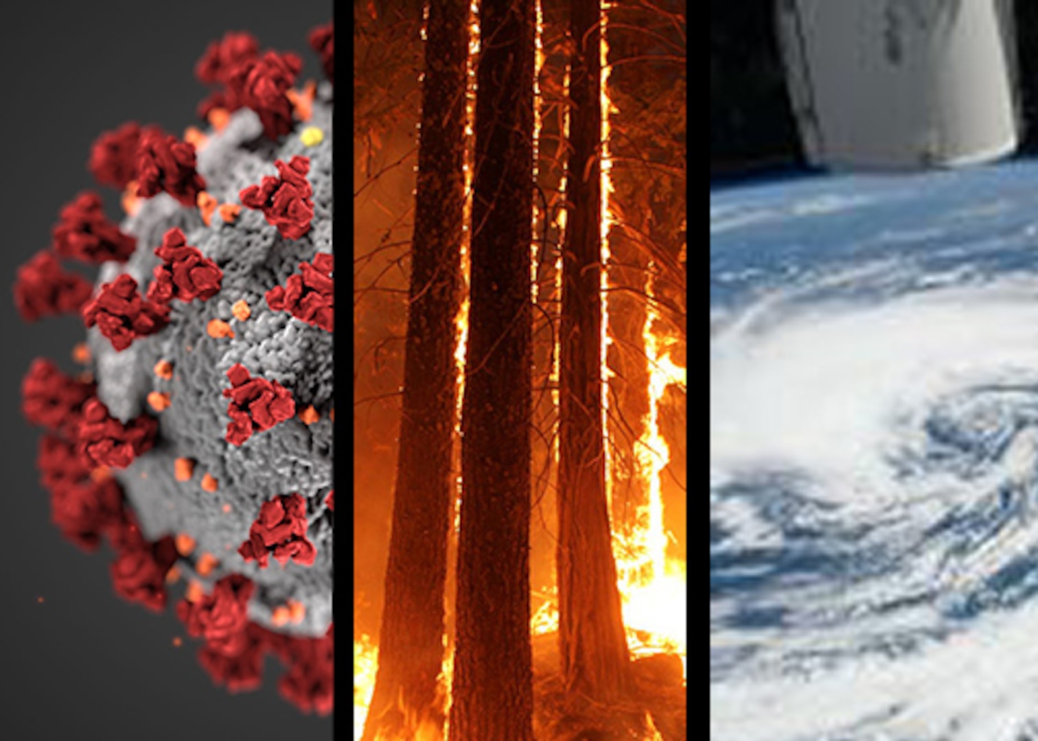 3 photos placed together, including the Covid-19 virus, trees on fire and a hurricane from space.