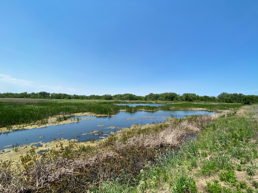 A five-year post construction monitoring phase for restoration at Burnham Prairie was completed this fall - which marks project completion. Kudos to the entire team!! 
Located in the southeast corner of Cook County within Burnham, Illinois, one mile south of Chicago and one mile west of the Indiana State Line, Burnham Prairie is a 93-acre site of which 80 acres are a State of Illinois Nature Preserve owned by the project's local sponsor, the Forest Preserves of Cook County. 
A five-year construction contract was awarded in June 2011, and construction was completed in June 2016. For more information about this project, go to https://go.usa.gov/xAB3G