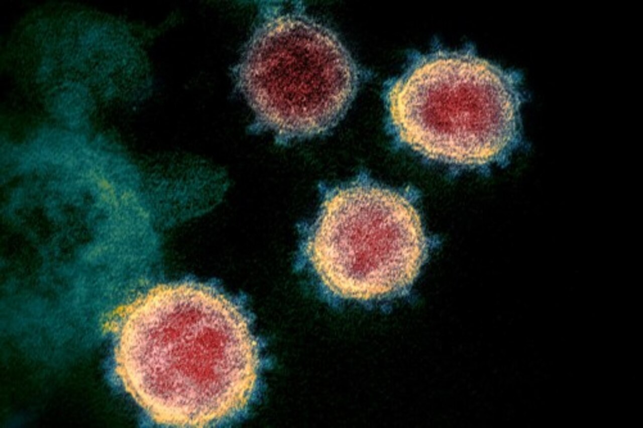 A virus and cell interact.